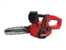 10 in Chainsaw