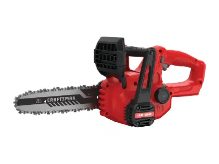 10 in Chainsaw
