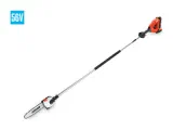 DPPF-2100 Power Pruner