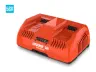Dual Port Rapid Charger