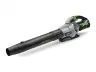 615 CFM Blower