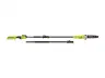 HP Brushless 10 in Pole Saw