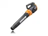 40V Sweeper/Blower